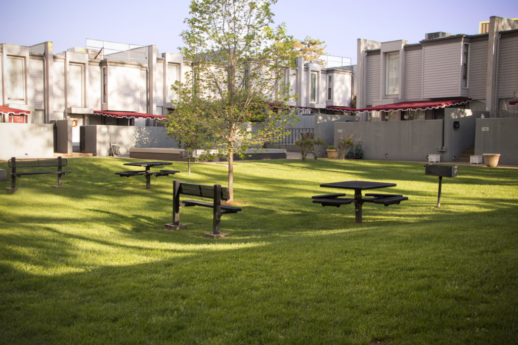 Central Park gallery image 8